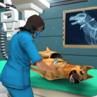 宠物医院模拟器 V1.2 安卓版